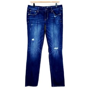 AMERICAN EAGLE stretch jean | 12